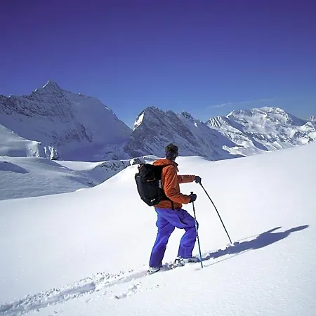 Le Genepy Tignes
